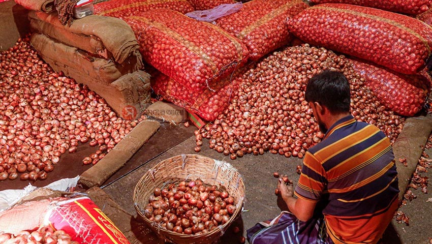 আমদানি বন্ধে চাঙ্গা হচ্ছে নিম্নমুখী থাকা দেশী পেঁয়াজের বাজার