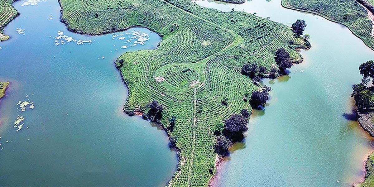 সবুজে ঘেরা শান্তির ঠিকানা ক্যামেলিয়া লেক