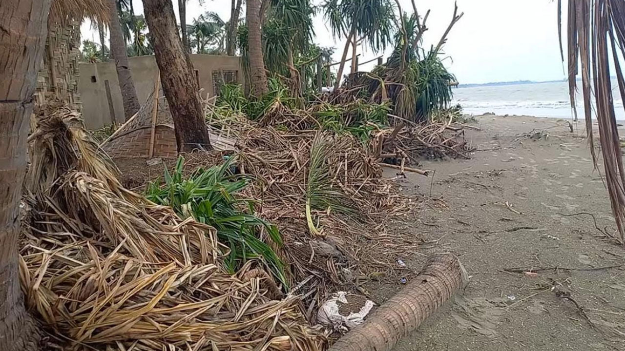 সেন্টমার্টিনে কেয়াবন উজাড় করে রিসোর্ট নির্মাণ, পরিবেশ অধিদপ্তরের মামলা