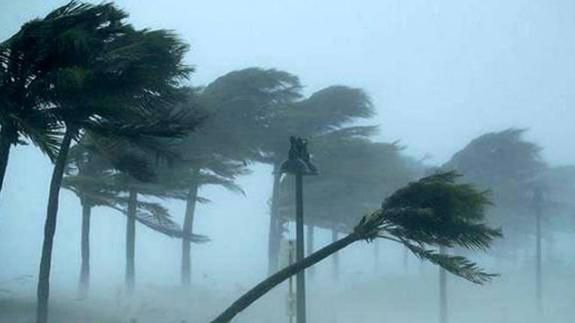 মার্চে তাপপ্রবাহ ও কালবৈশাখীর আভাস, বাড়বে তাপমাত্রা