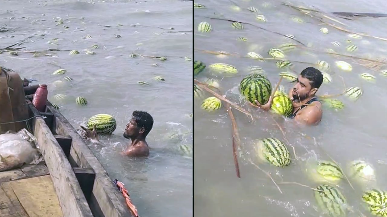তরমুজবোঝাই ট্রলার ডুবে ভেসে গেল কৃষকের স্বপ্ন
