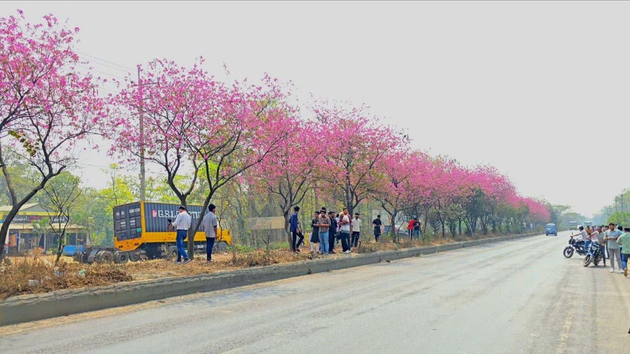 ফুলের শোভা ছড়ানো মহাসড়কে টিকটক ভিডিও ঠেকাতে পুলিশের টহল জোরদার