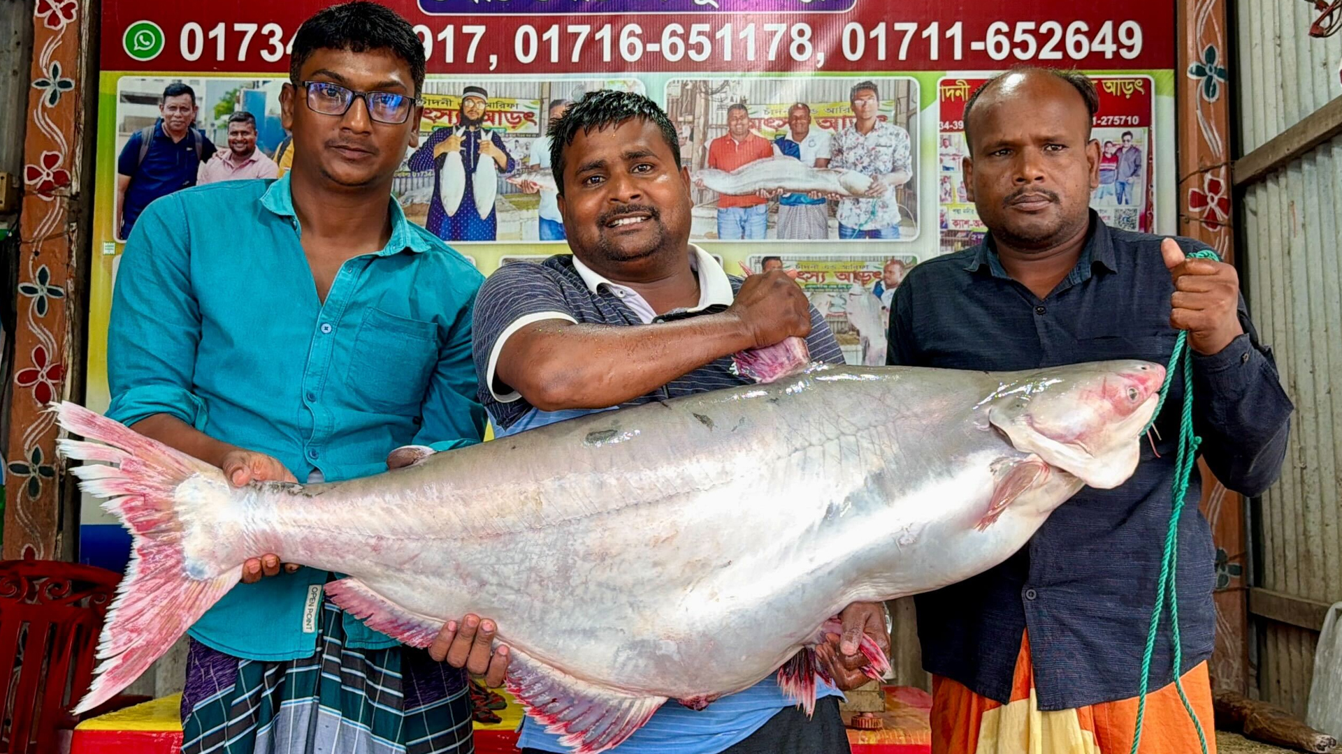 পদ্মার এক পাঙাশ ৭০ হাজার টাকায় বিক্রি