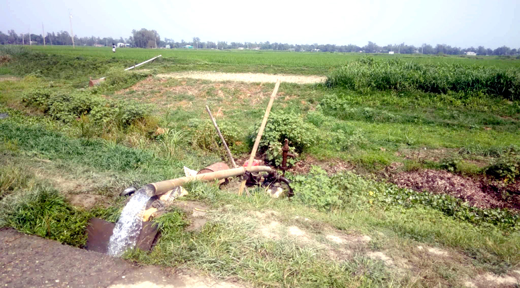 ডিজেল-সংকটে চাটমোহরে বোরো আবাদ নিয়ে শঙ্কা