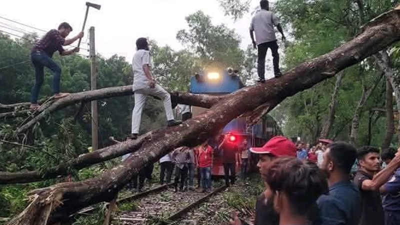 নোয়াখালী ঝড়ে রেললাইনে গাছ পড়ে ২ ঘণ্টা ট্রেন চলাচলে বিঘ্ন