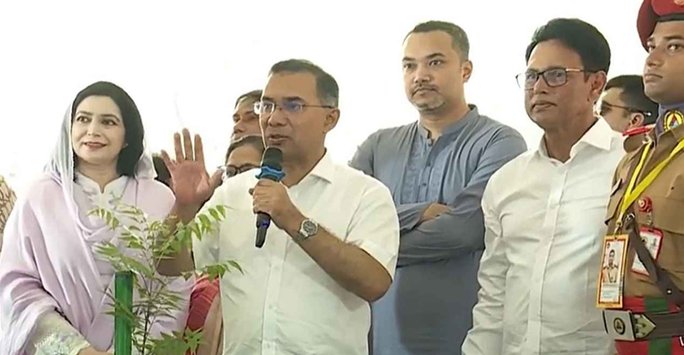 প্রত্যেক শিক্ষার্থীকে একটি করে গাছের চারা রোপণের আহ্বান প্রধানমন্ত্রীর
