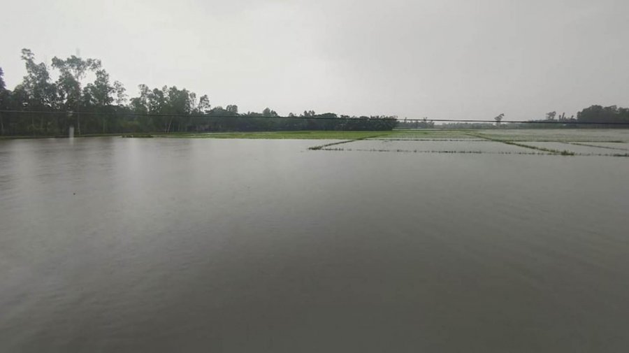 চট্টগ্রামে বন্যায় ক্ষতি ১৫০ কোটি, ভেসে গেছে মাছ ভেঙেছে সড়ক
