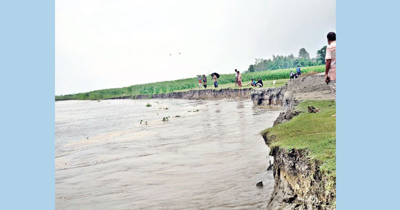 ধুনটে যমুনা নদীর পানি বৃদ্ধি, ভাঙছে বসতভিটা-ফসলি জমি