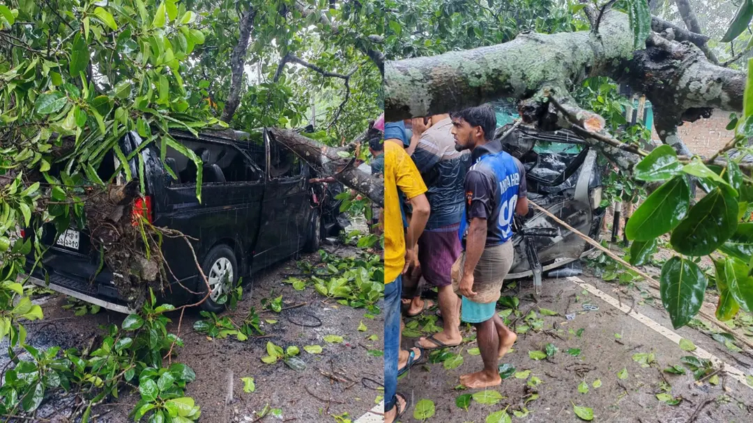 চলন্ত মাইক্রোবাসের উপর ভেঙে পড়ল শতবর্ষী গাছ