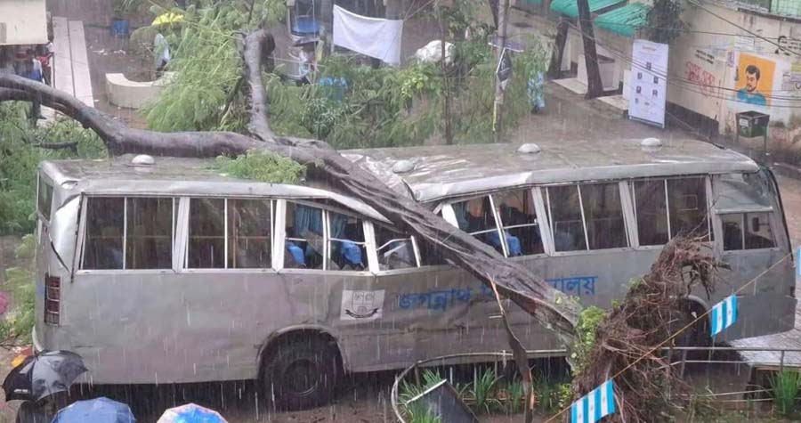 জবির বাসের ওপর ভেঙে পড়ল গাছ, প্রাণে বাঁচলেন শিক্ষার্থীরা