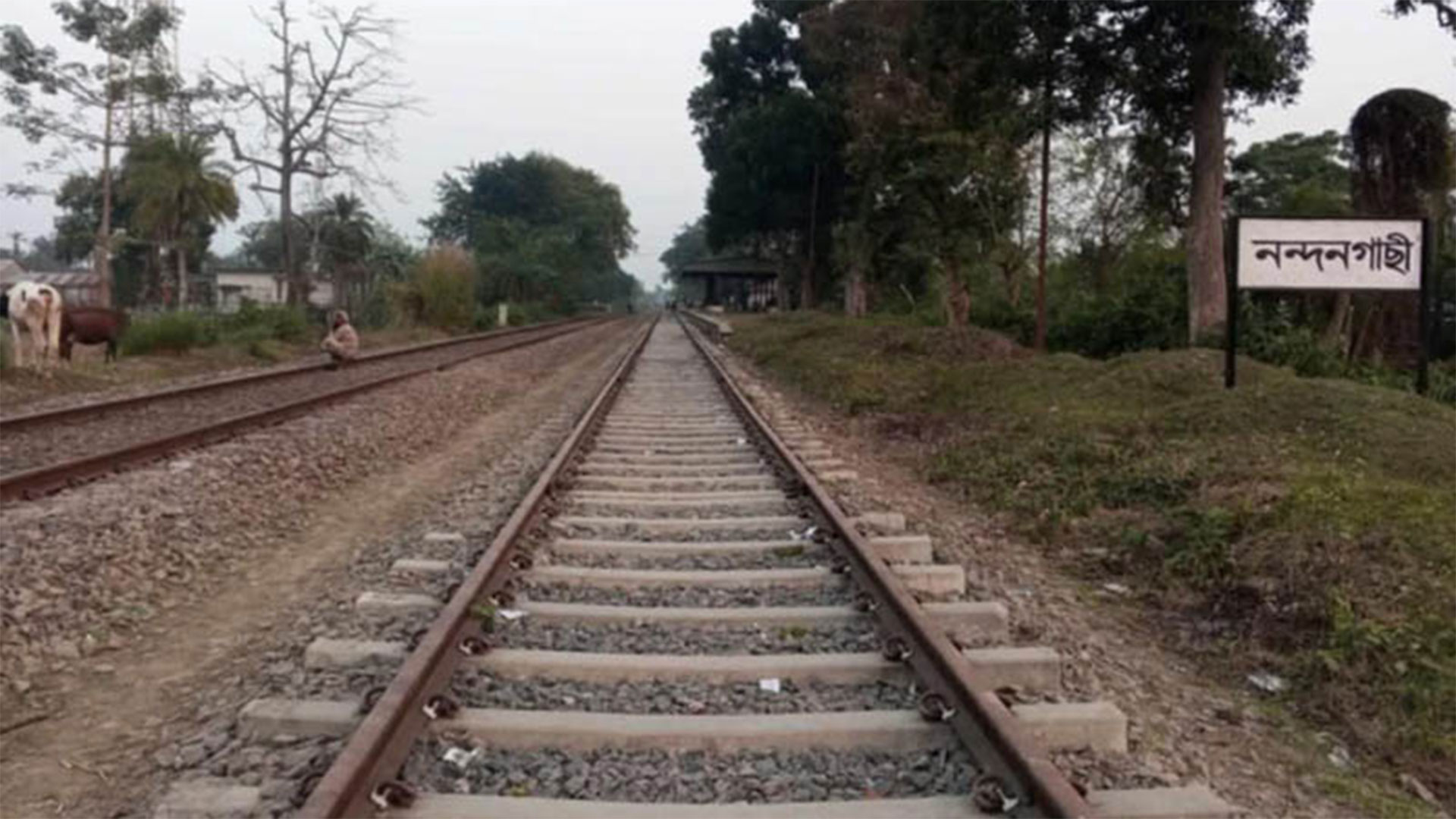 সাড়ে ৮ বছর পর চালু হচ্ছে নন্দনগাছী স্টেশন