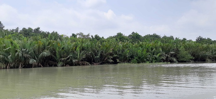 ১ সেপ্টেম্বর থেকে খুলছে সুন্দরবন