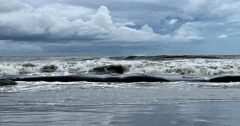 ২৪ ঘণ্টার মধ্যে সাগরে লঘুচাপ সৃষ্টি হতে পারে