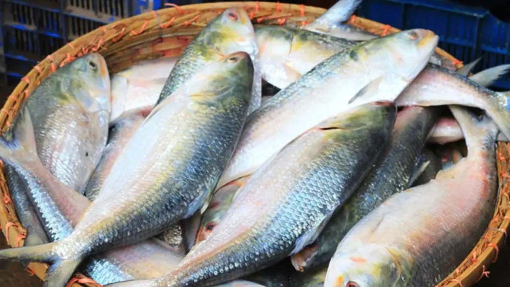 ভারতে ইলিশ রপ্তানি বন্ধে লিগ্যাল নোটিশ