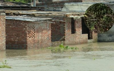 উজানের ঢলে ভেসে আসছে বিষধর সাপ, আতঙ্কে রাজশাহীর পানিবন্দি বাসিন্দারা
