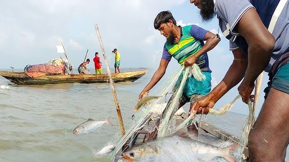 ৮ অক্টোবর থেকে ২২ দিন ইলিশ আহরণ নিষিদ্ধ
