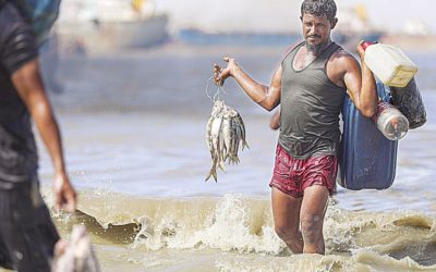 চট্টগ্রামে ইলিশ আহরণে বড় ব্যয় জ্বালানি, প্রভাব পড়ছে দামে