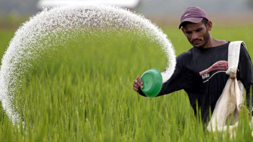 মরক্কো থেকে ৭০ হাজার টন সার কিনবে সরকার