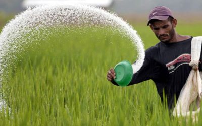 মরক্কো থেকে ৭০ হাজার টন সার কিনবে সরকার