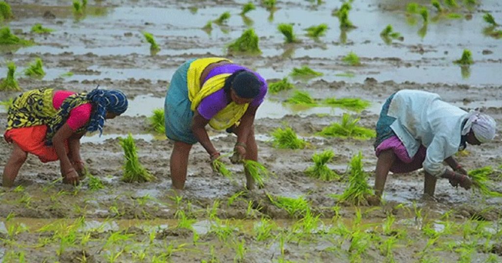 দেশের কৃষি খাতে ১৪ হাজার কোটি টাকার প্রকল্পের প্রস্তুতি