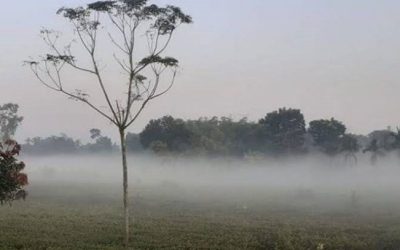 পঞ্চগড়ে বাড়ছে শীতের অনুভূতি