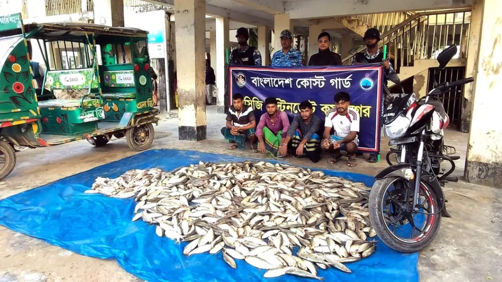 নিষেধাজ্ঞা অমান্য করে ইলিশ পরিবহনে আটক ৪, জব্দ ৩ মণ