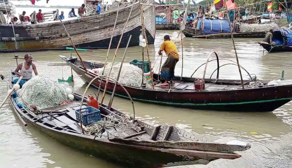 মৌসুমের শেষ সময়ে জেলেদের জালে ধরা পড়ছে ইলিশ