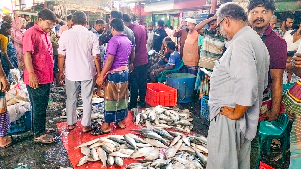 ইলিশ ধরা ঠেকাতে স্থানীয় নেতাদের নিয়ে চিন্তায় মৎস্য অধিদপ্তর