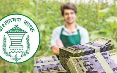 ব্যবসা করতে পাবে ২০ লাখ টাকা, ১ নভেম্বর থেকে ৫৬ জেলায় আবেদন